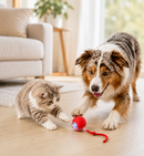 Bola Inteligente para Pets – Brinquedo Interativo Automático Recarregável