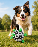 PataGol™ - Bola Canina de Aventura
