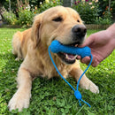 DentaPlay Pet — Mordedor Dental com Corda para Cães