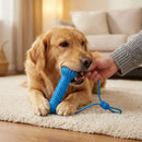 DentaPlay Pet — Mordedor Dental com Corda para Cães