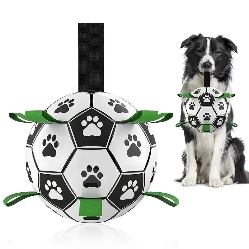 PataGol™ - Bola Canina de Aventura
